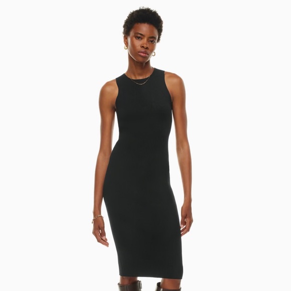 Aritzia Wilfred Moonstruck Dress - Picture 1 of 6